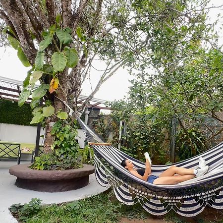 Montefresco Boutique Hostel Monteverde Екстер'єр фото